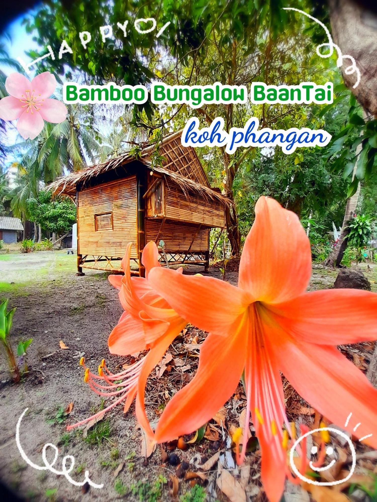 Bamboo Bungalow Baan Tai Phangan ภายนอก รูปภาพ